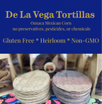Fresh WHITE Heirloom Corn Tortillas